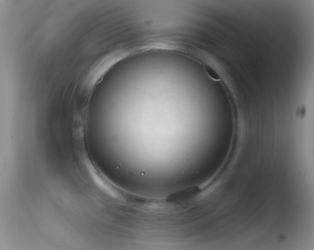 X0000114631433200910201410