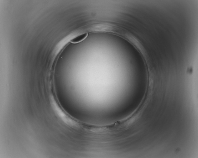 X0000114631434200910201410