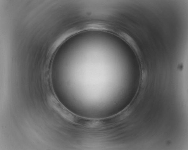 X0000114631435200910201410