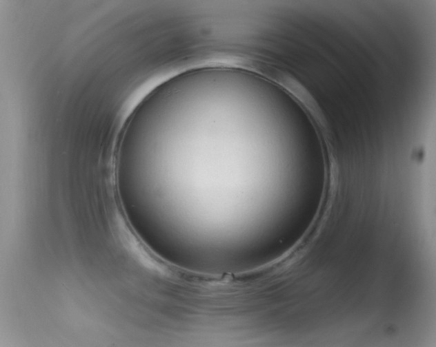 X0000114631436200910201410