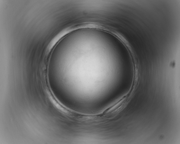 X0000114631438200910201410