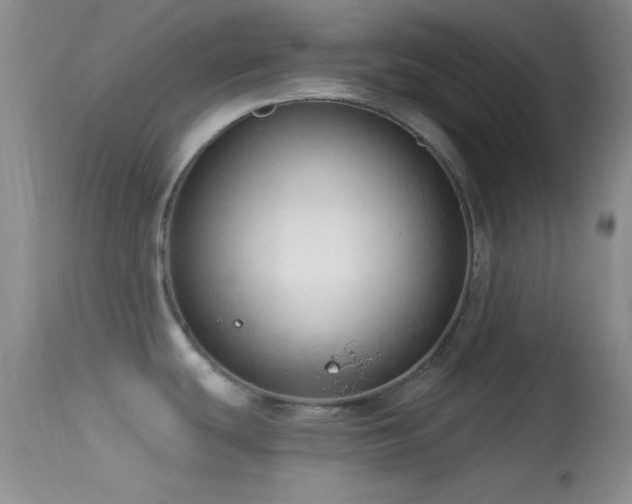 X0000114631439200910201410