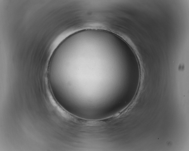 X0000114631440200910201410