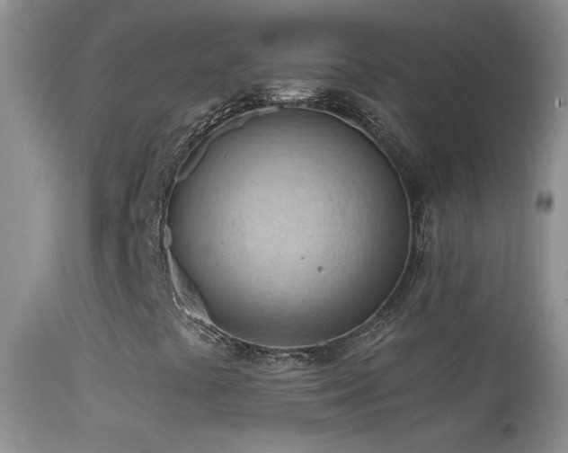 X0000114631441200910201409