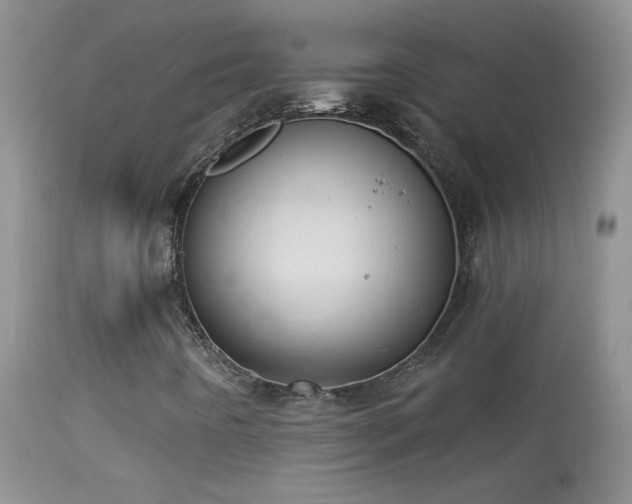 X0000114631442200910201409