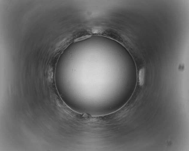 X0000114631443200910201409