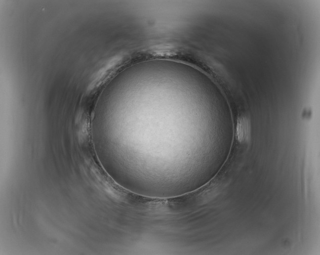 X0000114631444200910201409