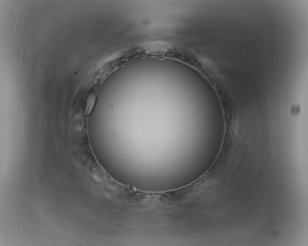 X0000114631445200910201409