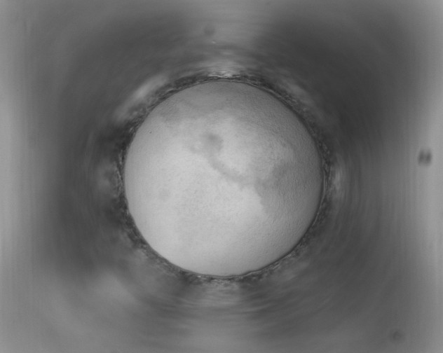 X0000114631446200910201409