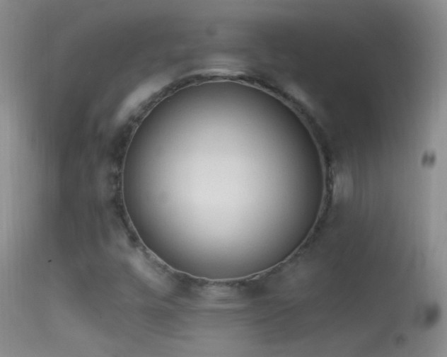 X0000114631448200910201409