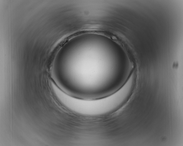 X0000114631449200910201409