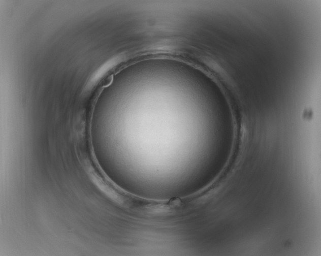 X0000114631450200910201409