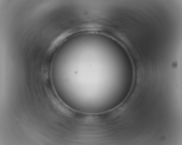 X0000114631451200910201409