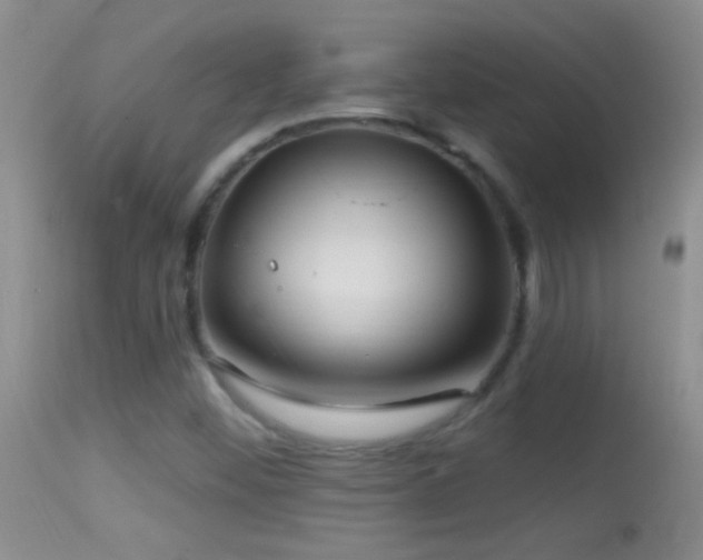 X0000114631452200910201409