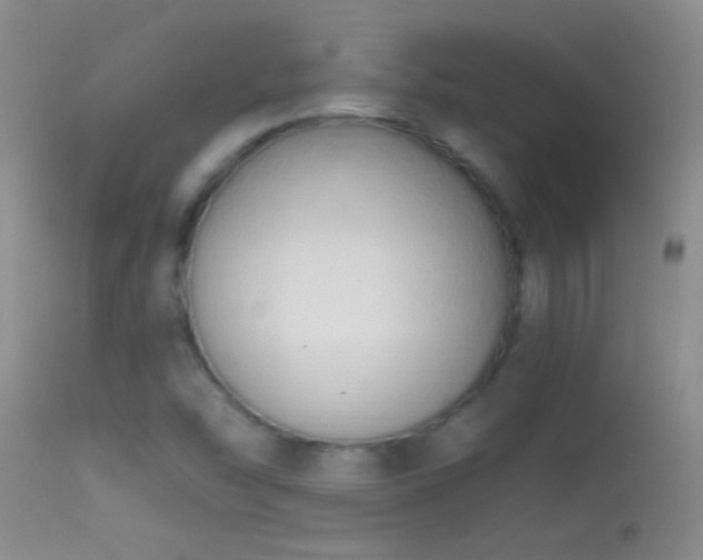 X0000114631454200910201409