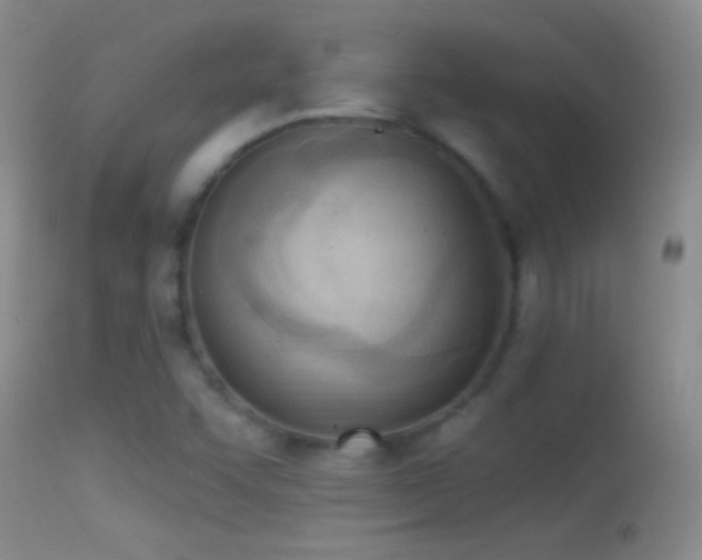 X0000114631455200910201409