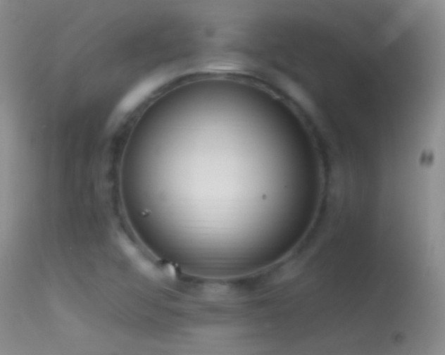 X0000114631456200910201409