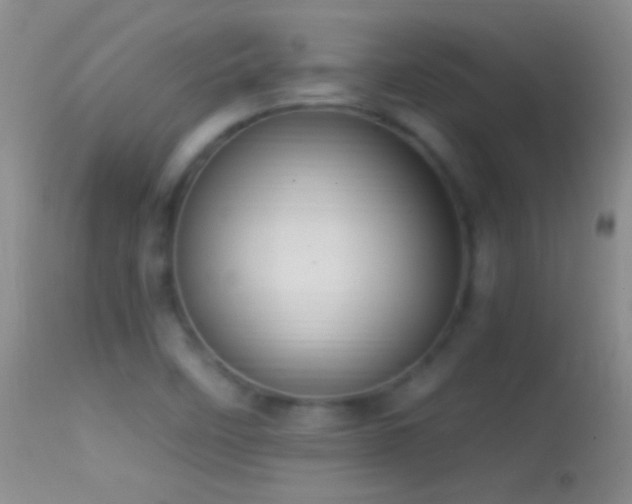 X0000114631458200910201409