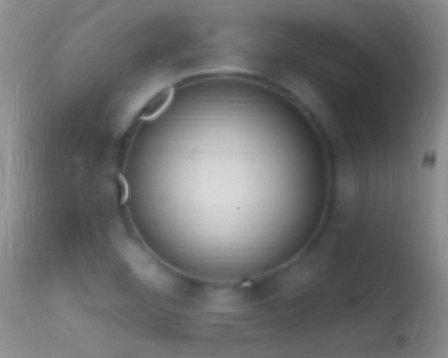 X0000114631460200910201409