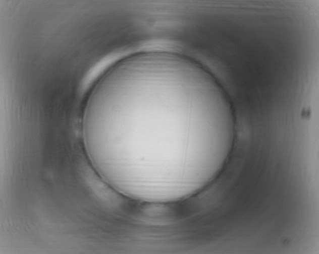 X0000114631462200910201409