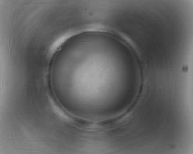 X0000114631463200910201409