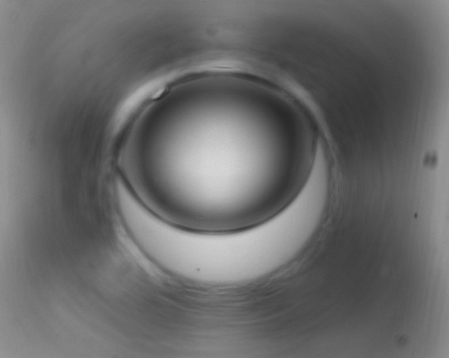 X0000114631464200910201409