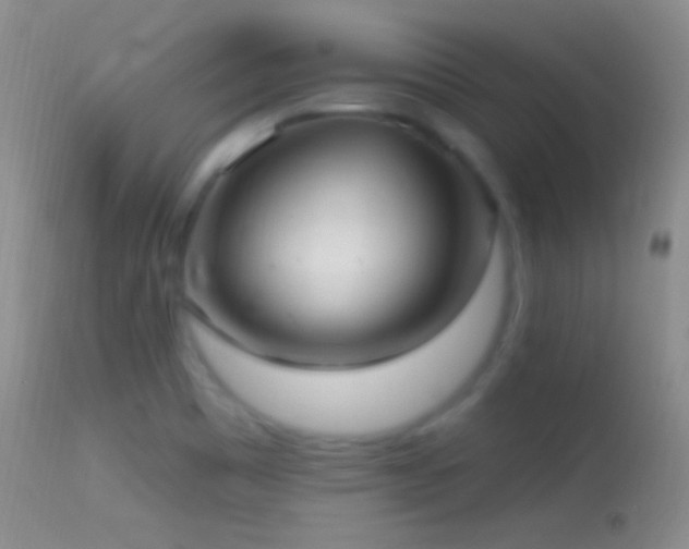 X0000114631465200910201409