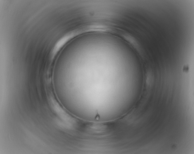 X0000114631466200910201409