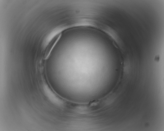 X0000114631468200910201409