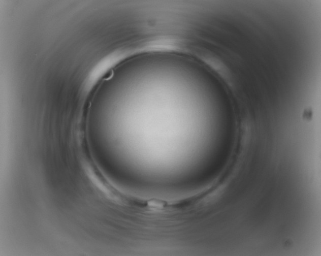 X0000114631469200910201409