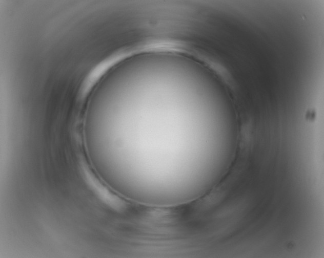 X0000114631470200910201409