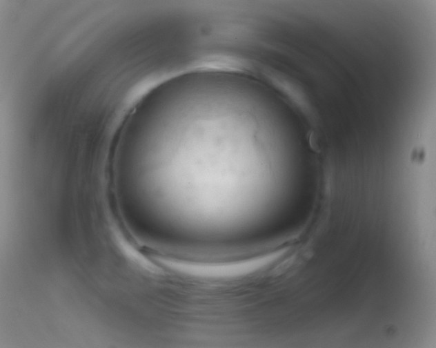 X0000114631471200910201409