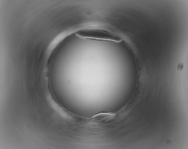 X0000114631472200910201409