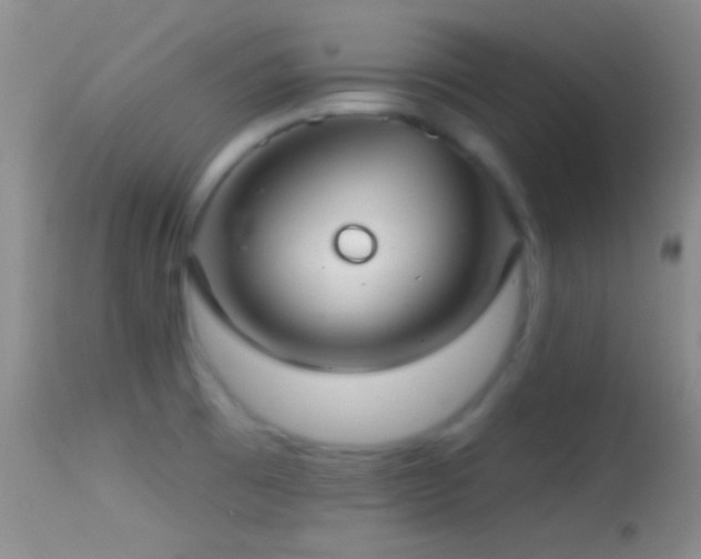 X0000114631473200910201409