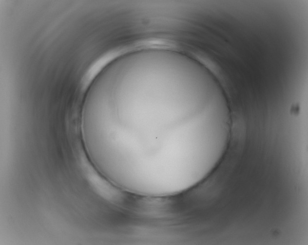 X0000114631474200910201409