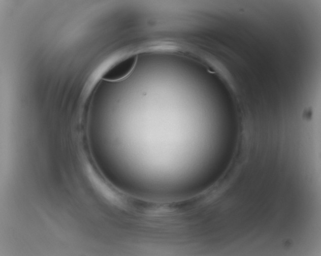 X0000114631475200910201409