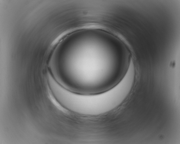 X0000114631476200910201409