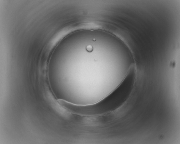 X0000114631477200910201409