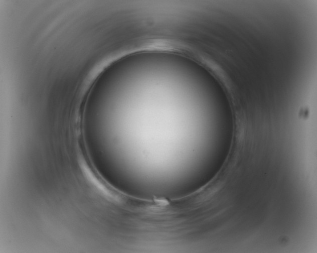 X0000114631479200910201409