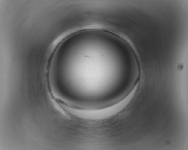 X0000114631480200910201409