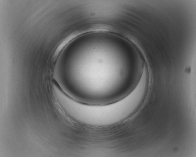 X0000114631481200910201409