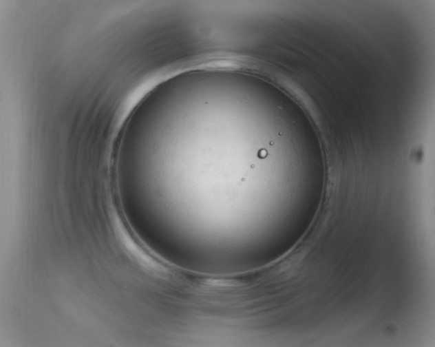 X0000114631483200910201409