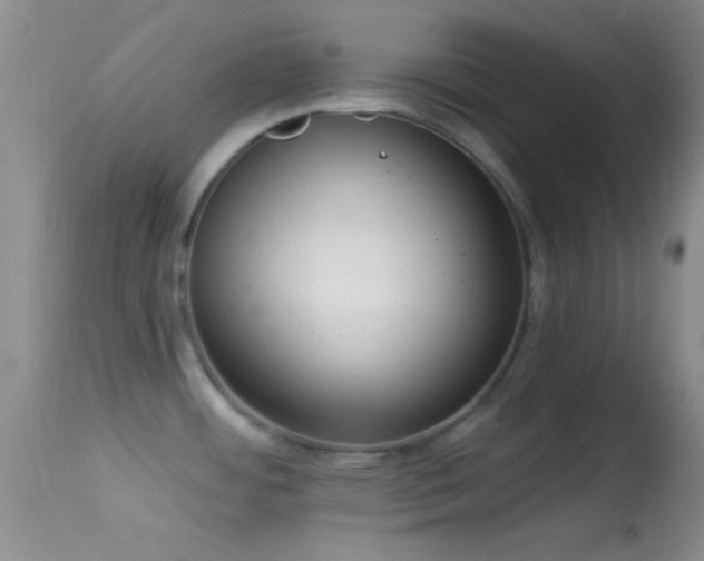 X0000114631484200910201409