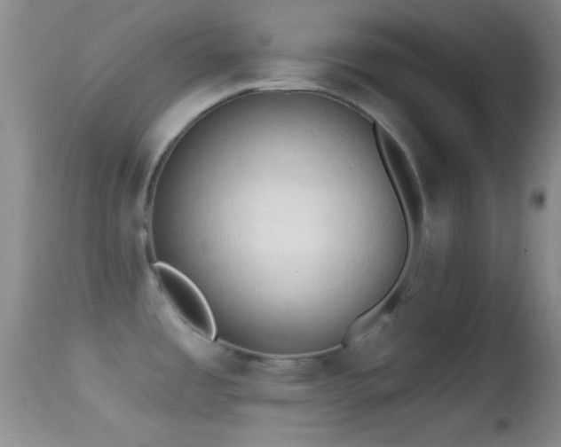 X0000114631485200910201409