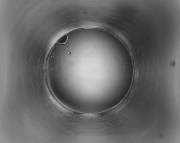 X0000114631487200910201409