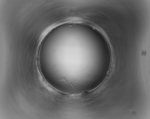 X0000114631488200910201409