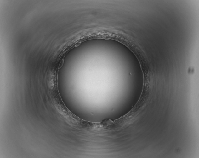 X0000114631490200910201408