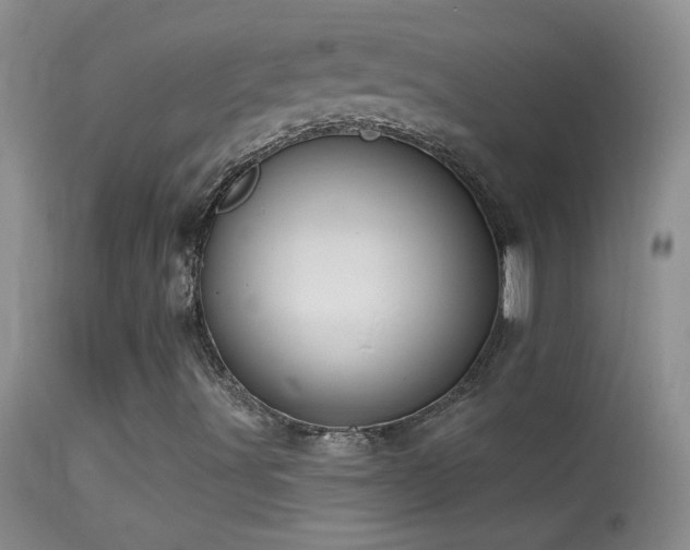 X0000114631491200910201408