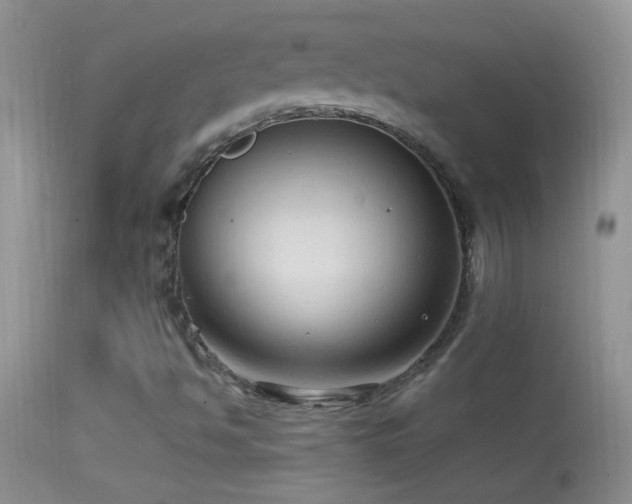 X0000114631494200910201408