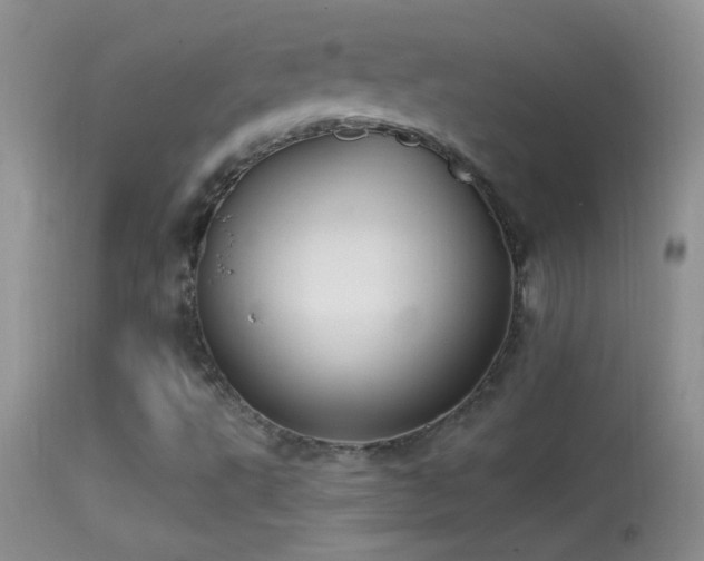 X0000114631495200910201408